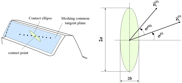 Common section projection of contact ellipse