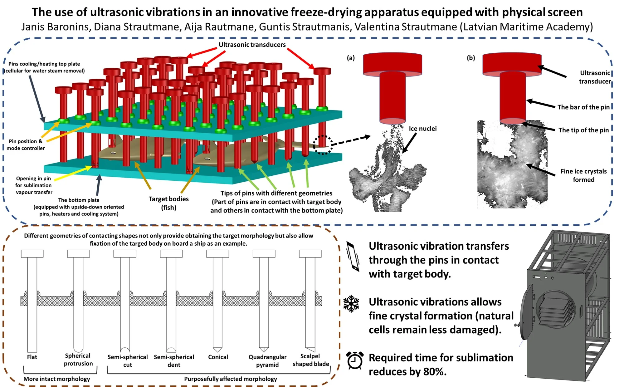 The use of ultrasonic vibrations in an innovative freeze-drying apparatus equipped with physical screen
