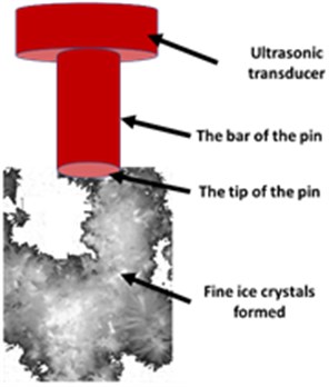 Schematic effect of ultrasonic vibrations on ice crystal sizes. Photographs of ice crystals nucleated in a 15 wt. % sucrose solution at −3, 4℃ by a commercial ultrasonic device (output 4, 10 % duty cycle)