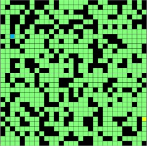 30×30 grid map