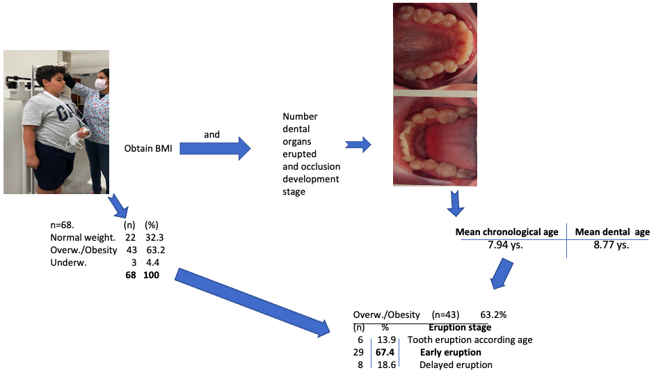 Corporeal-composition indicators, and physiological alterations in dental eruption