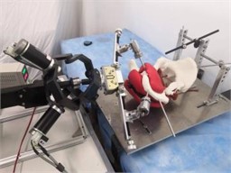 Demonstration of pelvic reduction robot. (Owner: Shenyang Cai; Location: Shanghai University)
