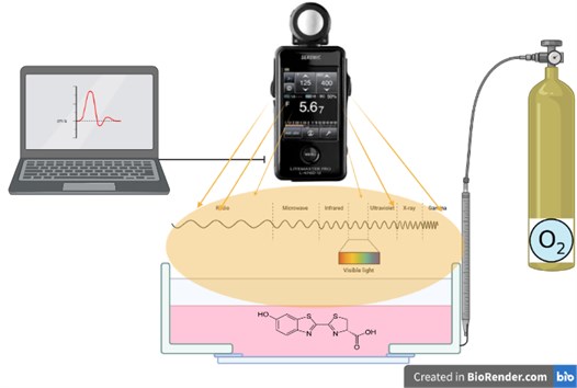 Evaluation of radiation in bioluminance enzyme