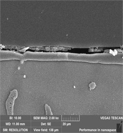 Cross-sectional SEM morphology of AZ91 alloy after steam treatment for different time