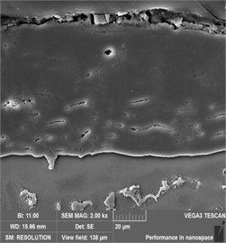 Cross-sectional SEM morphology of AZ91 alloy after steam treatment for different time