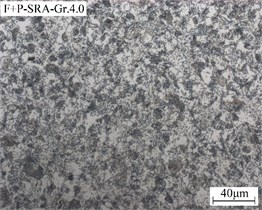 Microstructures and spheroidization grade of B+M\F+P initial microstructures  after simulation SPA\SOA\SRA