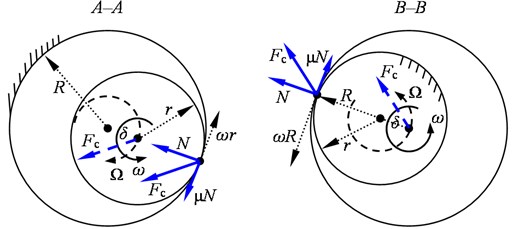 Contact forces and whirling directions of rotor rolling with its outer and inner surface around stator