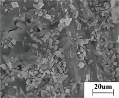 Microstructure morphology under electron microscope