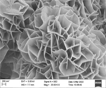 SEM image of ZnCo-19