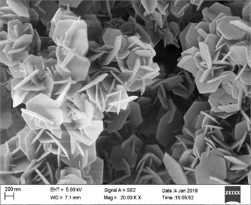 SEM images of the sample with a) Zn and b) Co in precursor