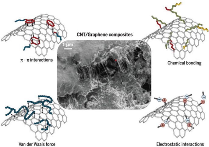 A schematic illustration of four different modifications for CNTs or GNPs  interacting with polymer matrix [19]