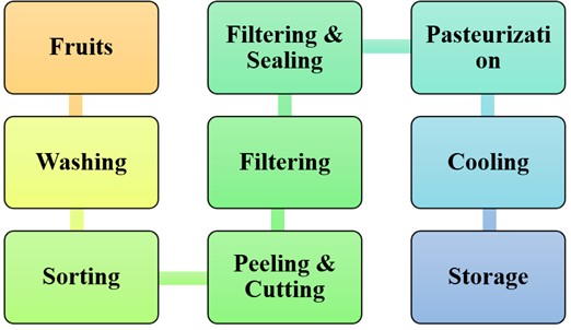 Process flow of fruit juice extraction