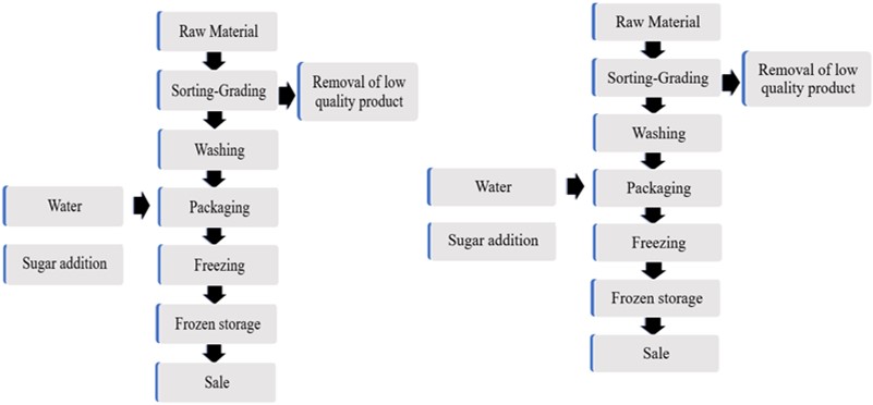 Freezing process of vegetable and fruit-based food products