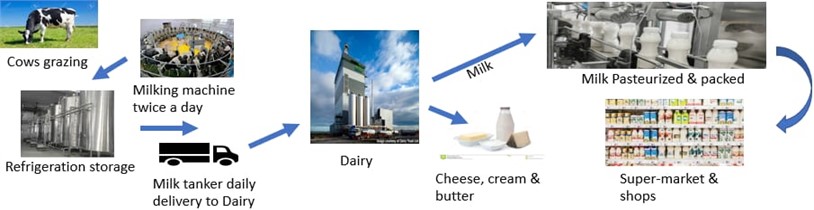 Dairy products processing