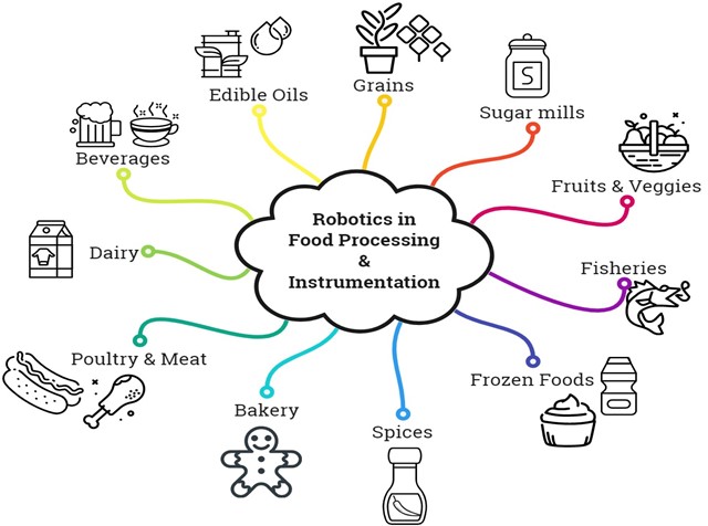 Domains of the food sector