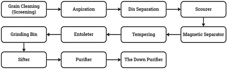 Grains processing