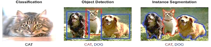 Image classification, object detection, and image segmentation [14]