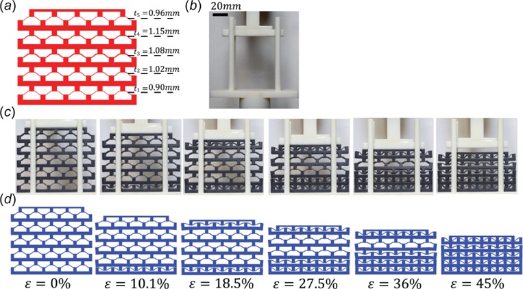 Research by Che K. metamaterial with different properties of cell layers