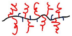 Comb type PPD structure [21] (red line – alkyl branch, black line – polar group)