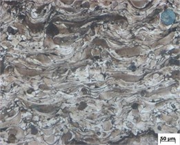 Microstructure of F000 sample