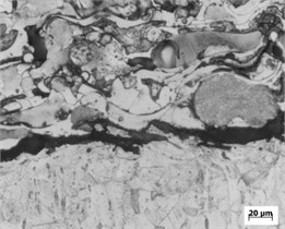 Microstructure of F330 sample