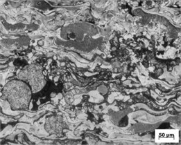 Microstructure of F330 sample