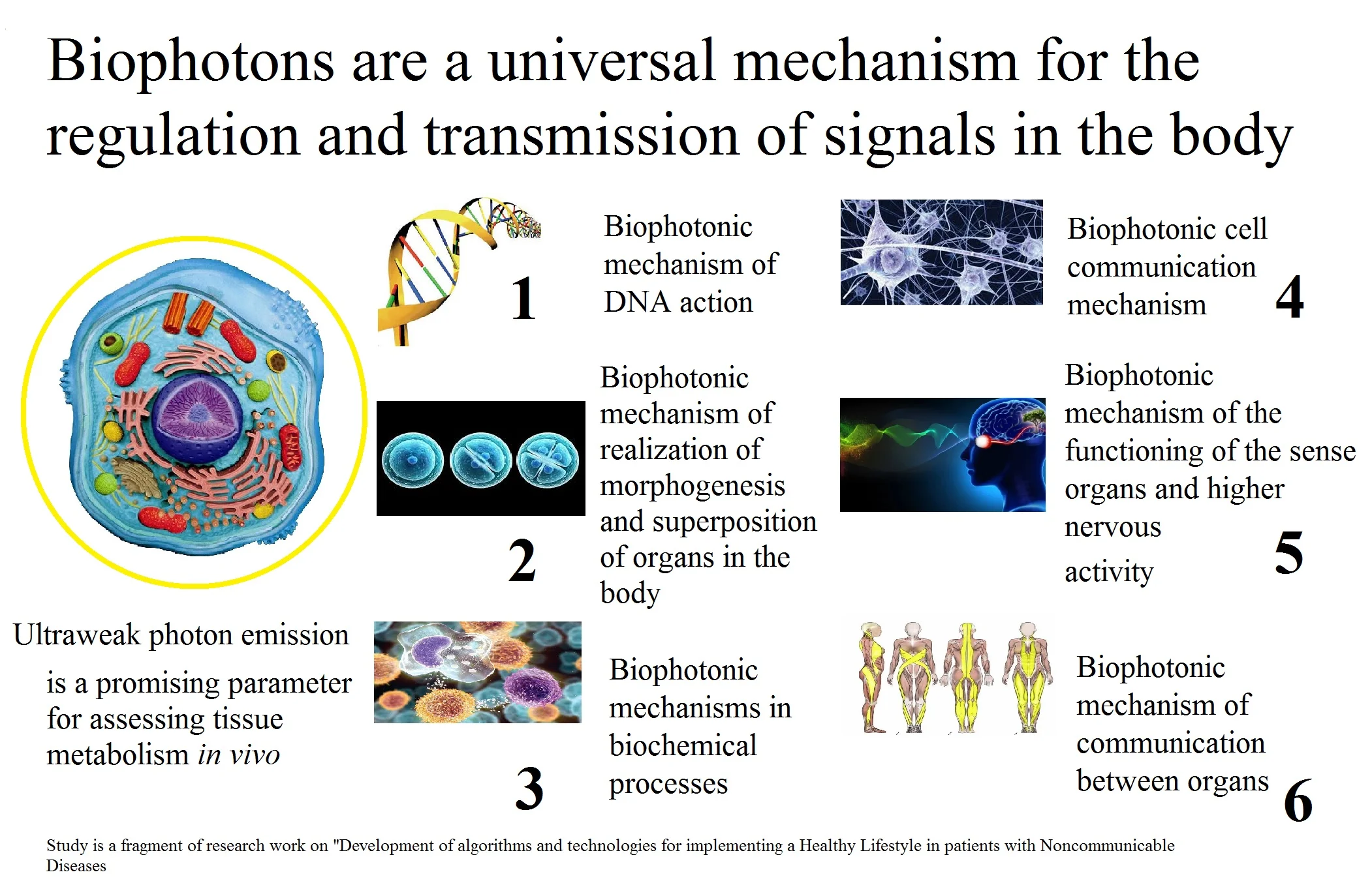 Modern biophysical view of electromagnetic processes of the phenomenon of life of living biological systems as a promising basis for the development of complex medicine: the role of biophotons