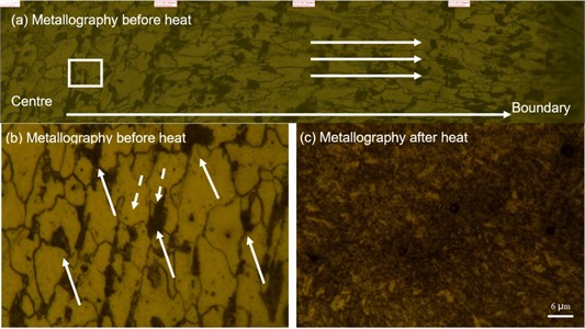 Optical micrographs of 10B21 steel