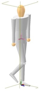 3D CAD body model in SolidWorks medium in: a) phase 1 – initial contact; b) phase 3 = loading response; c) phase 5-Pre swing and d) phase 6 – the initial swing of the human gait cycle