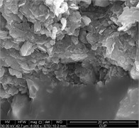 Micromorphology of super-viscous heavy oil and asphaltene scanning electron microscopy