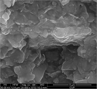 Micromorphology of super-viscous heavy oil and asphaltene scanning electron microscopy
