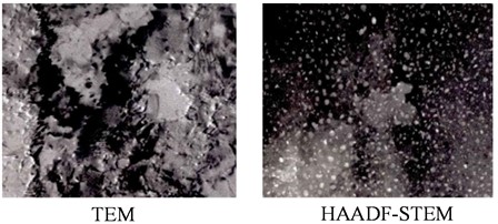 TEM and HAADF-STEM plots of the sample projected along <112>Al