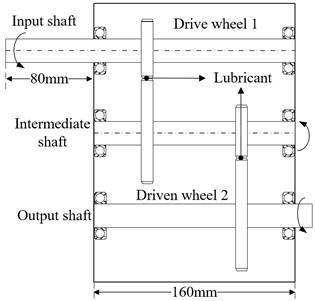 The three-dimensional model and schematic diagram of two-stage gear transmission system