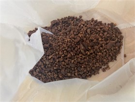 Date palm seeds after crushing [25]