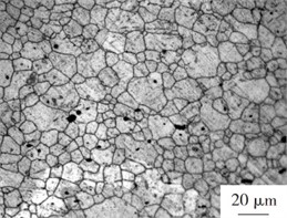 Microstructural morphology of different samples