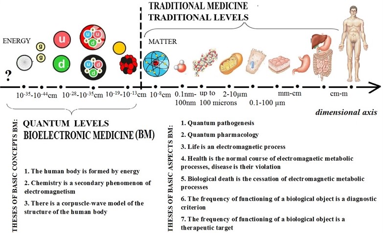 Diagram of the dimensional axis of the structural levels of the organization of the human body, indicating the levels of theoretical concepts of traditional medicine and bioelectronic medicine, as well as theses of the main basic concepts and aspects of bioelectronic medicine developed in the theoretical study