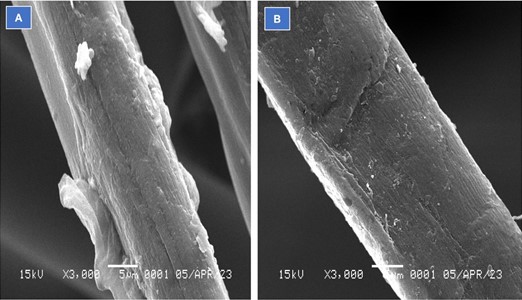 SEM images comparison: a) untreated fabric and b) plasma-treated fabric