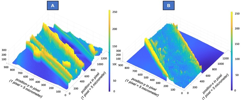 Three-dimensional SEM using image processing:  a) untreated fabric and b) the plasma-treated fabric