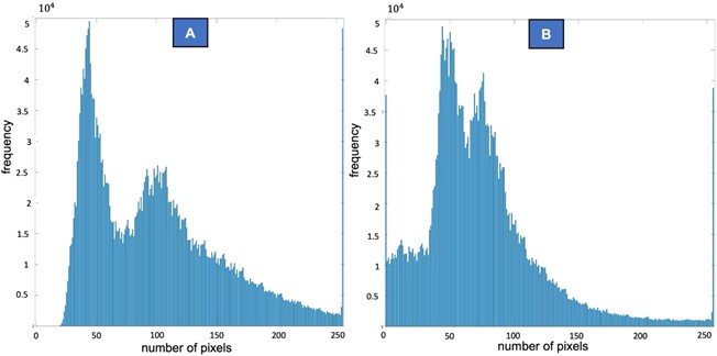 Histogram of the pixel intensity comparison from SEM using image processing:  a) untreated fabric, b) plasma-treated fabric