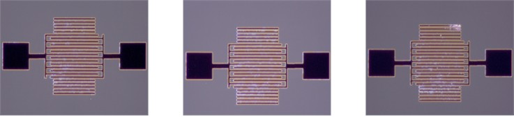 Optical microscope image of the IDTs used for temperature response analysis