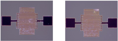 Optical microscope image of the IDTs used for temperature response analysis