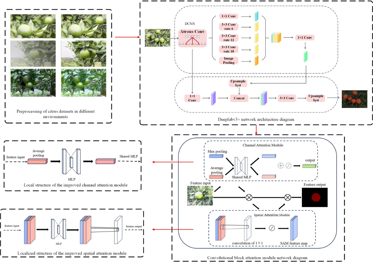 Research on citrus segmentation algorithm based on complex environment