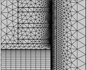 Partial view of the finite element mesh model