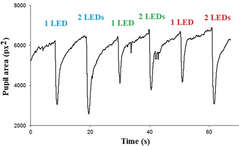 Graph of pupillary area x time