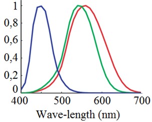 Sensitivity of the cones [33]