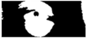 a) Pupil image acquired by the camera and b) detection of circles made by the software; c), d) images in black/white and contour detection