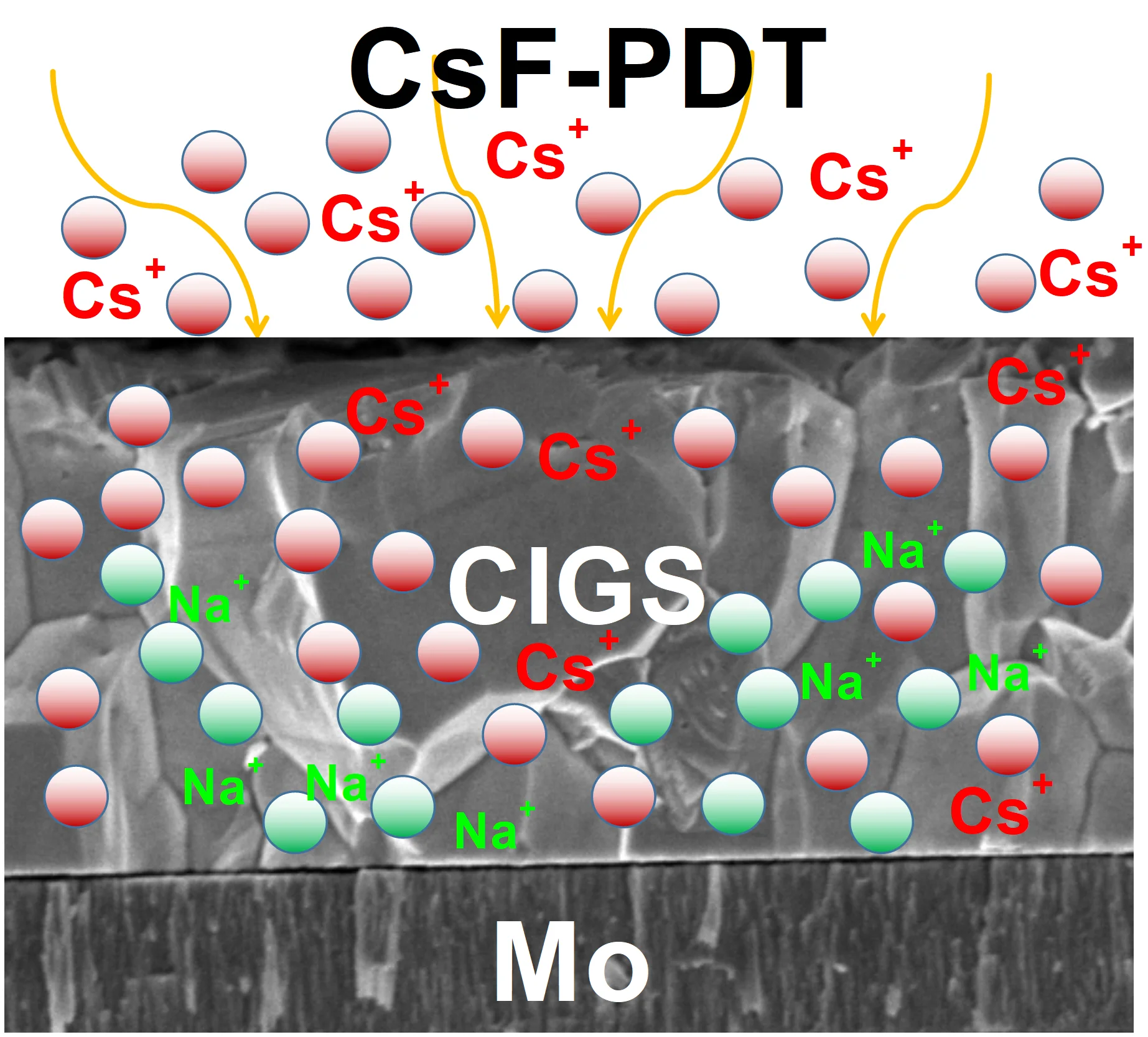 Introduction of the distribution of Cs in Cu(In,Ga)Se2 photovoltaic absorbers following post-deposition treatment with CsF