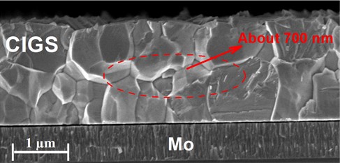 Cross-sectional scanning electron microscopy photographs of CIGS film