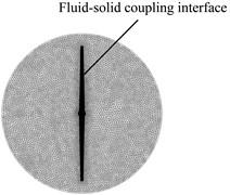 Fluid domain mesh