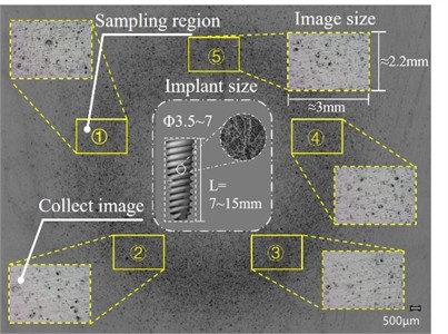 Modified samples and sampling area